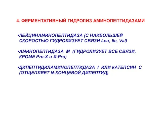 4. ФЕРМЕНТАТИВНЫЙ ГИДРОЛИЗ АМИНОПЕПТИДАЗАМИ ЛЕЙЦИНАМИНОПЕПТИДАЗА (С НАИБОЛЬШЕЙ СКОРОСТЬЮ ГИДРОЛИЗУЕТ СВЯЗИ Leu, Ile,