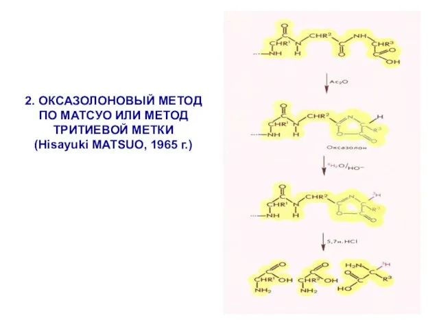 2. ОКСАЗОЛОНОВЫЙ МЕТОД ПО МАТСУО ИЛИ МЕТОД ТРИТИЕВОЙ МЕТКИ (Hisayuki MATSUO, 1965 г.)