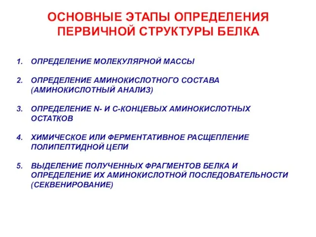 ОСНОВНЫЕ ЭТАПЫ ОПРЕДЕЛЕНИЯ ПЕРВИЧНОЙ СТРУКТУРЫ БЕЛКА ОПРЕДЕЛЕНИЕ МОЛЕКУЛЯРНОЙ МАССЫ ОПРЕДЕЛЕНИЕ АМИНОКИСЛОТНОГО СОСТАВА