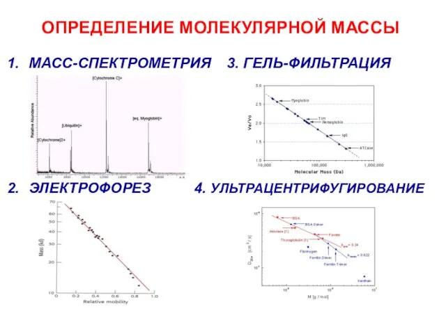 ОПРЕДЕЛЕНИЕ МОЛЕКУЛЯРНОЙ МАССЫ МАСС-СПЕКТРОМЕТРИЯ ЭЛЕКТРОФОРЕЗ 3. ГЕЛЬ-ФИЛЬТРАЦИЯ 4. УЛЬТРАЦЕНТРИФУГИРОВАНИЕ