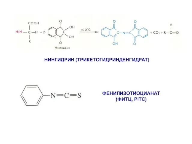 ФЕНИЛИЗОТИОЦИАНАТ (ФИТЦ, PITC) НИНГИДРИН (ТРИКЕТОГИДРИНДЕНГИДРАТ)