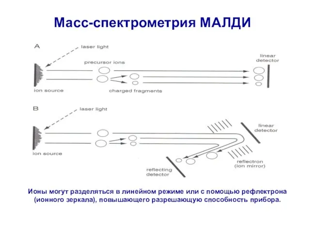 Масс-спектрометрия МАЛДИ Ионы могут разделяться в линейном режиме или с помощью рефлектрона