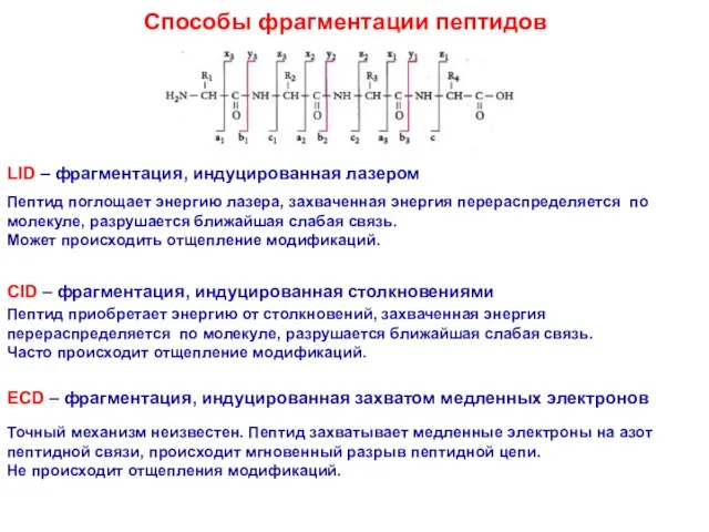 Способы фрагментации пептидов LID – фрагментация, индуцированная лазером CID – фрагментация, индуцированная