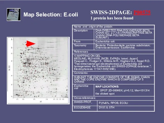 Map Selection: E.coli SWISS-2DPAGE: P00575 1 protein has been found