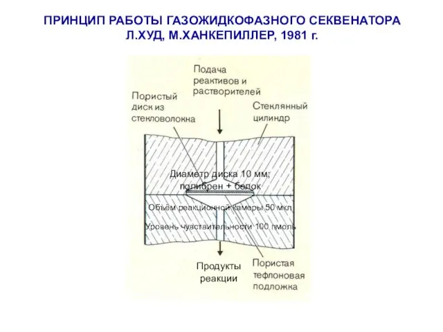 ПРИНЦИП РАБОТЫ ГАЗОЖИДКОФАЗНОГО СЕКВЕНАТОРА Л.ХУД, М.ХАНКЕПИЛЛЕР, 1981 г. Диаметр диска 10 мм;