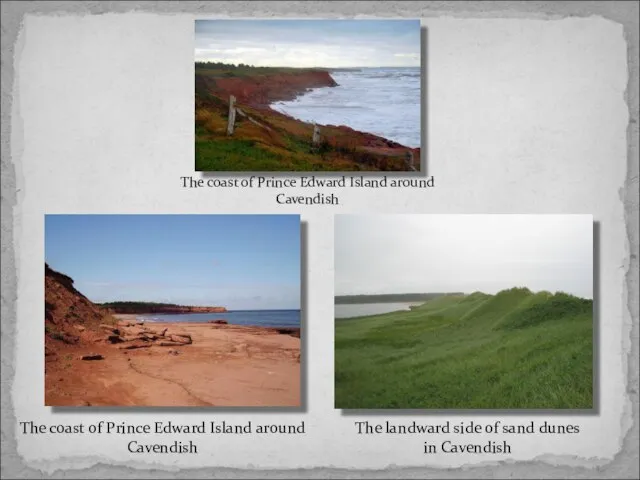 The coast of Prince Edward Island around Cavendish The landward side of