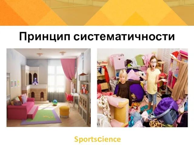 Принцип систематичности Sportsсience