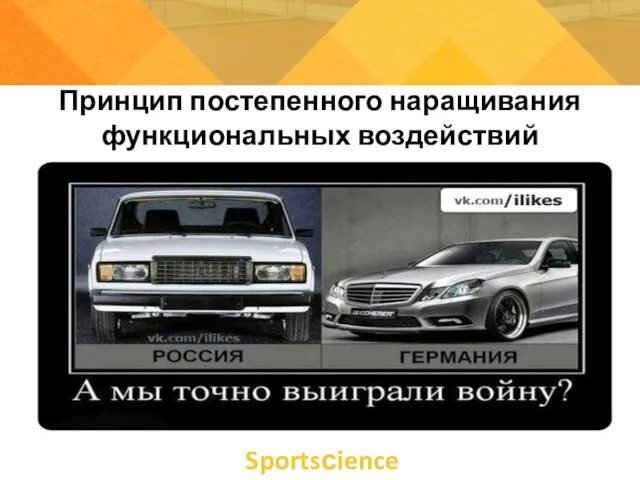 Принцип постепенного наращивания функциональных воздействий Sportsсience