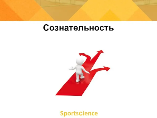 Сознательность Sportsсience