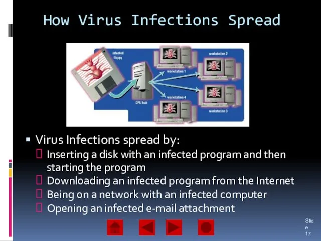 How Virus Infections Spread Virus Infections spread by: Inserting a disk with