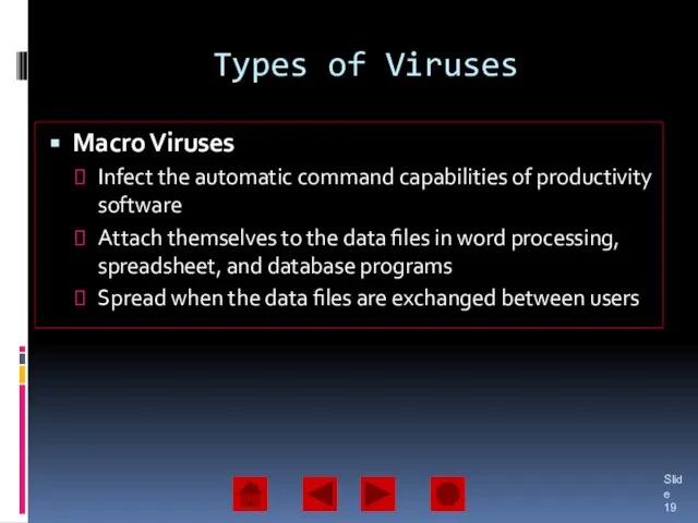 Types of Viruses Macro Viruses Infect the automatic command capabilities of productivity