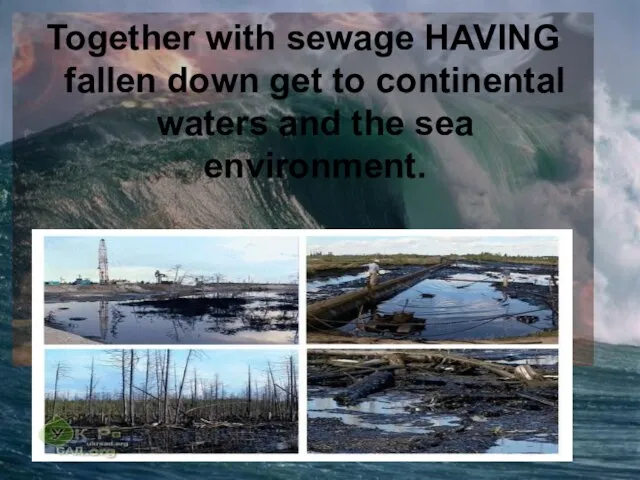 Together with sewage HAVING fallen down get to continental waters and the sea environment.