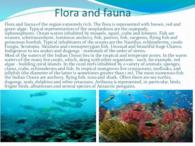 Flora and fauna Flora and fauna of the region extremely rich. The