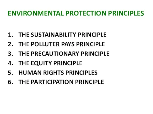 ENVIRONMENTAL PROTECTION PRINCIPLES THE SUSTAINABILITY PRINCIPLE THE POLLUTER PAYS PRINCIPLE THE PRECAUTIONARY