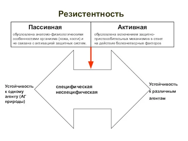 Резистентность Пассивная Активная специфическая неспецифическая Устойчивость к одному агенту (АГ природы) Устойчивость