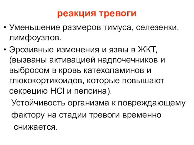 реакция тревоги Уменьшение размеров тимуса, селезенки, лимфоузлов. Эрозивные изменения и язвы в