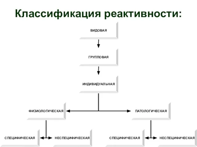 Классификация реактивности: