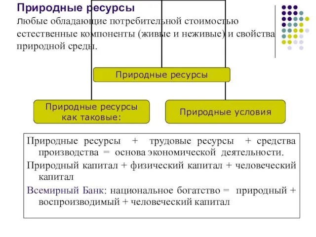 Природные ресурсы любые обладающие потребительной стоимостью естественные компоненты (живые и неживые) и