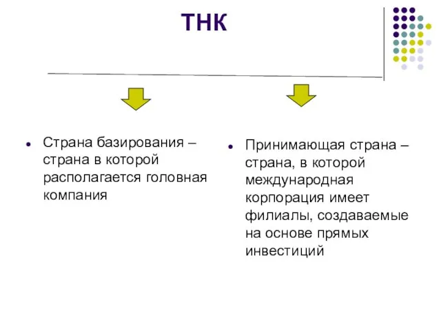 ТНК Страна базирования – страна в которой располагается головная компания Принимающая страна