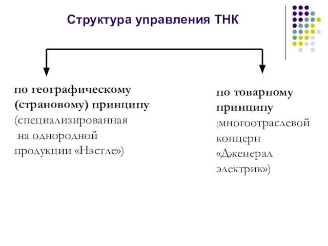 Структура управления ТНК по географическому (страновому) принципу (специализированная на однородной продукции «Нэстле»)