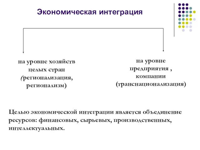 Экономическая интеграция на уровне хозяйств целых стран (регионализация, регионализм) на уровне предприятия