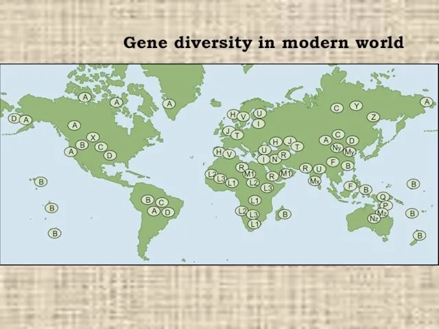 Gene diversity in modern world