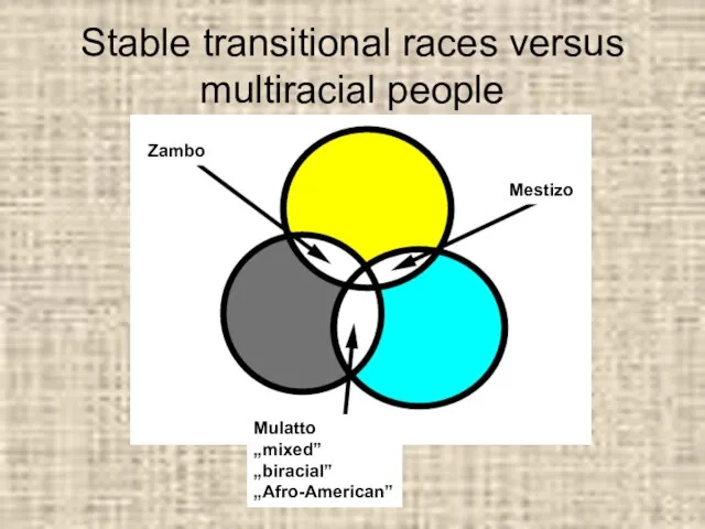 Stable transitional races versus multiracial people Mestizo Mulatto „mixed” „biracial” „Afro-American” Zambo