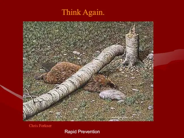 Rapid Prevention Think Again. Chris Forkner