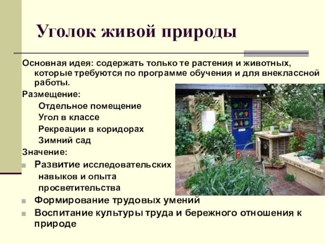 Уголок живой природы Основная идея: содержать только те растения и животных, которые