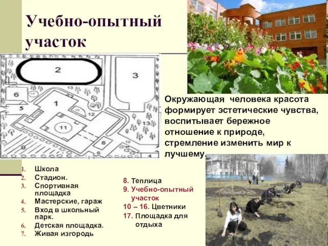 Учебно-опытный участок Школа Стадион. Спортивная площадка Мастерские, гараж Вход в школьный парк.