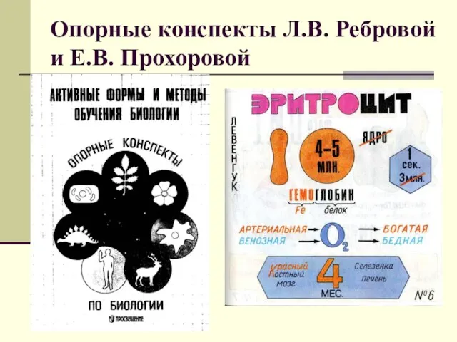 Опорные конспекты Л.В. Ребровой и Е.В. Прохоровой