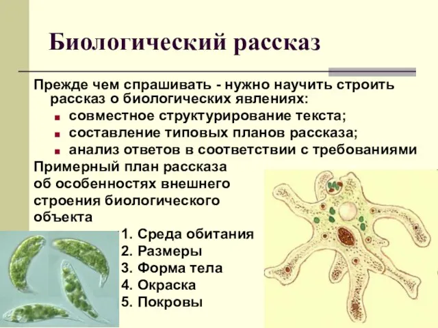 Биологический рассказ Прежде чем спрашивать - нужно научить строить рассказ о биологических