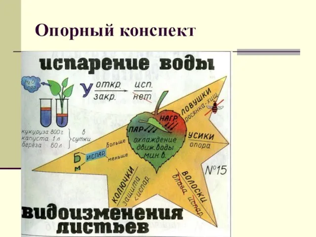 Опорный конспект