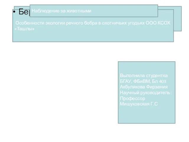 Берег р. Таушка Наблюдение за животными