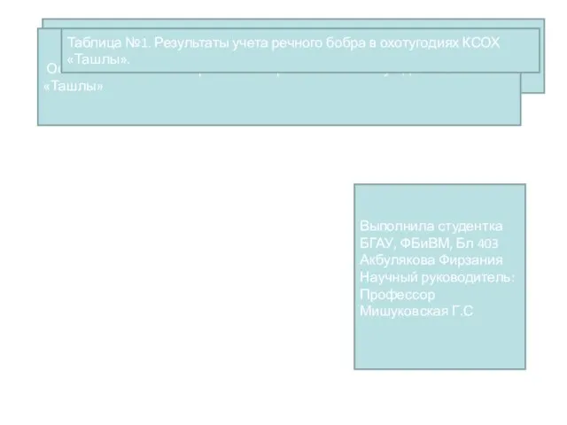 Таблица №1. Результаты учета речного бобра в охотугодиях КСОХ «Ташлы».