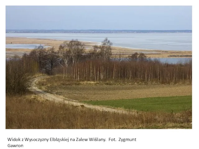 Widok z Wysoczyzny Elbląskiej na Zalew Wiślany. Fot. Zygmunt Gawron