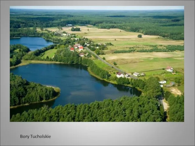 Bory Tucholskie