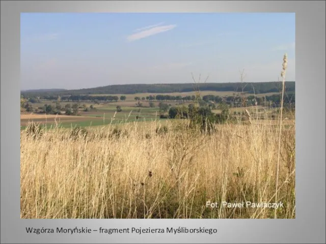 Wzgórza Moryńskie – fragment Pojezierza Myśliborskiego
