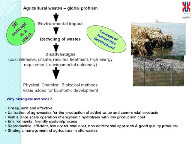 Agricultural wastes – global problem Environmental impact Recycling of wastes Disadvantages (cost