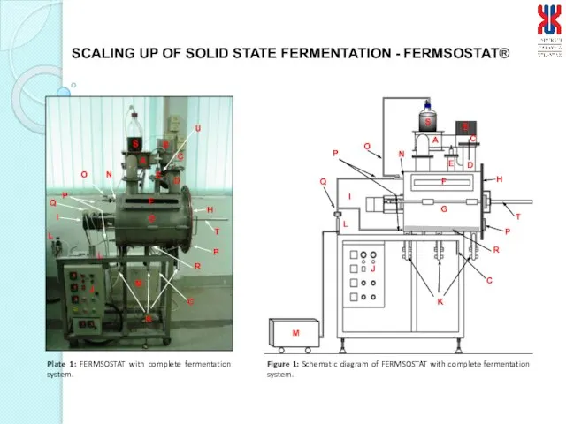 SCALING UP OF SOLID STATE FERMENTATION - FERMSOSTAT®