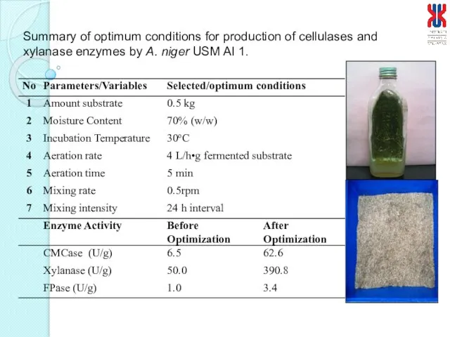 Summary of optimum conditions for production of cellulases and xylanase enzymes by