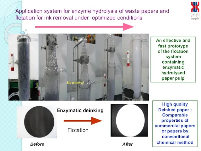 Application system for enzyme hydrolysis of waste papers and flotation for ink