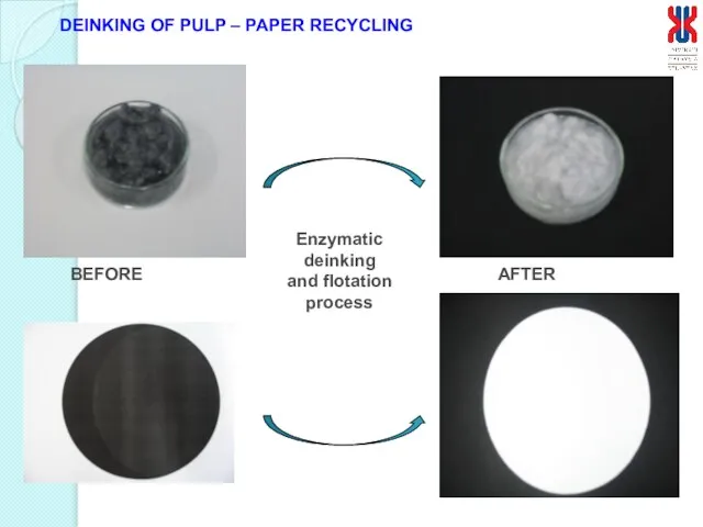 DEINKING OF PULP – PAPER RECYCLING BEFORE AFTER Enzymatic deinking and flotation process