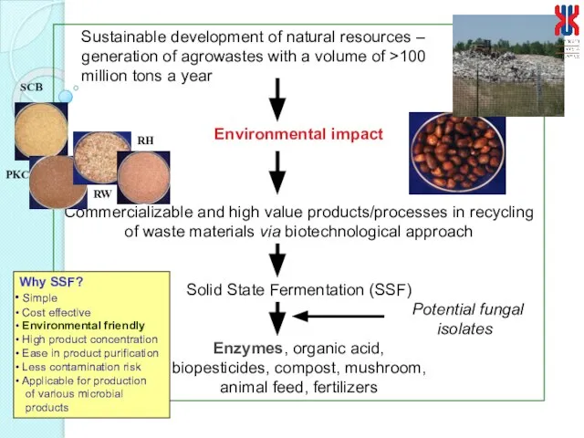 Sustainable development of natural resources – generation of agrowastes with a volume