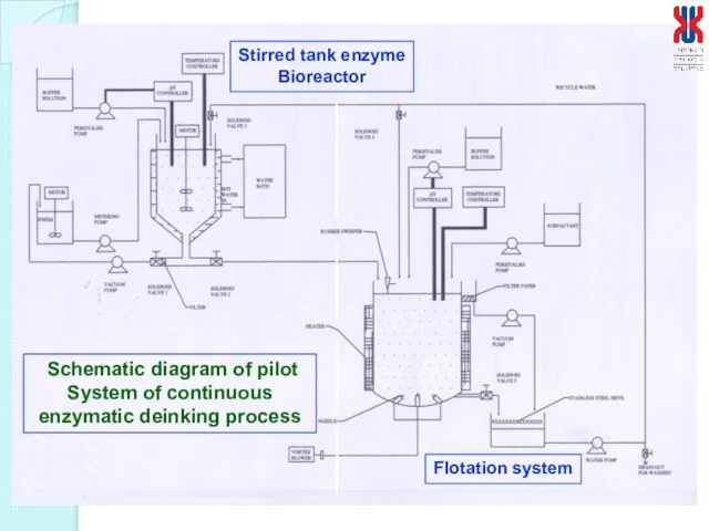 Schematic diagram of pilot System of continuous enzymatic deinking process Stirred tank enzyme Bioreactor Flotation system