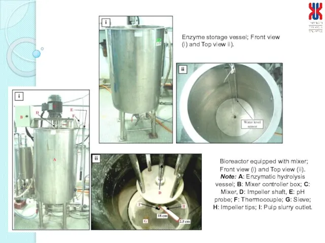 Enzyme storage vessel; Front view (i) and Top view ii). Bioreactor equipped