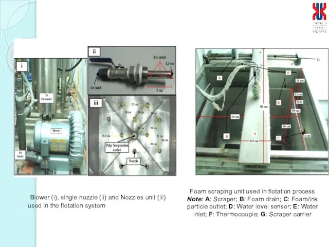 Blower (i), single nozzle (ii) and Nozzles unit (iii) used in the