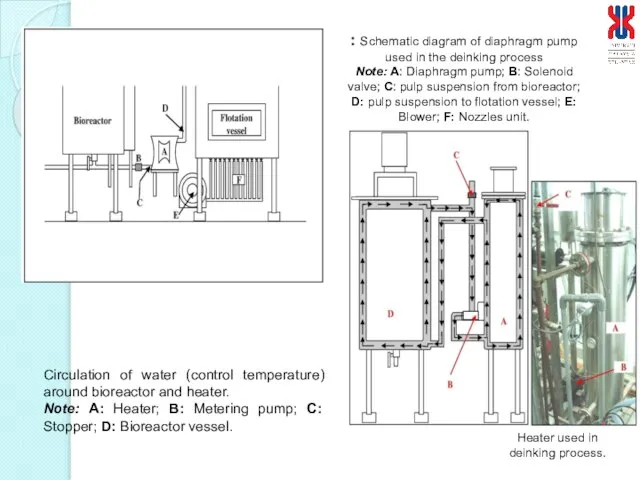 : Schematic diagram of diaphragm pump used in the deinking process Note: