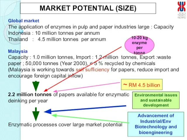 MARKET POTENTIAL (SIZE) Global market The application of enzymes in pulp and
