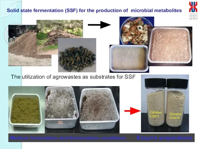 The utilization of agrowastes as substrates for SSF Medium formulation and fermentation